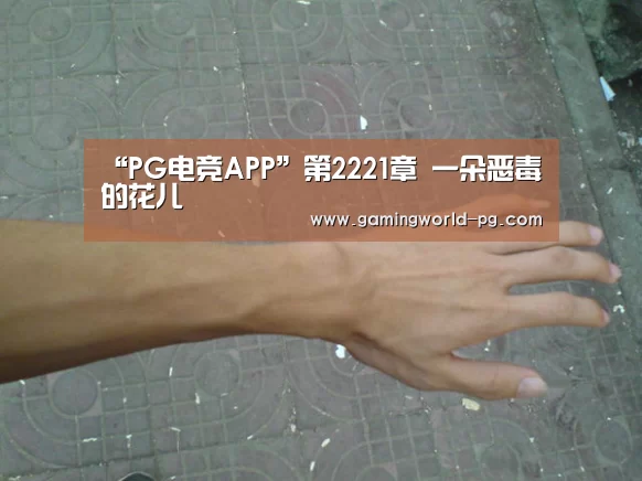 “PG电竞APP”第2221章 一朵恶毒