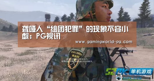 聋哑人“组团犯罪”的现象不容小觑：PG视