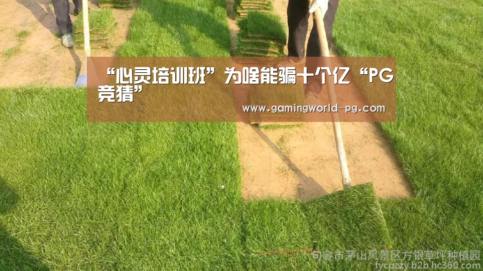 PG棋牌