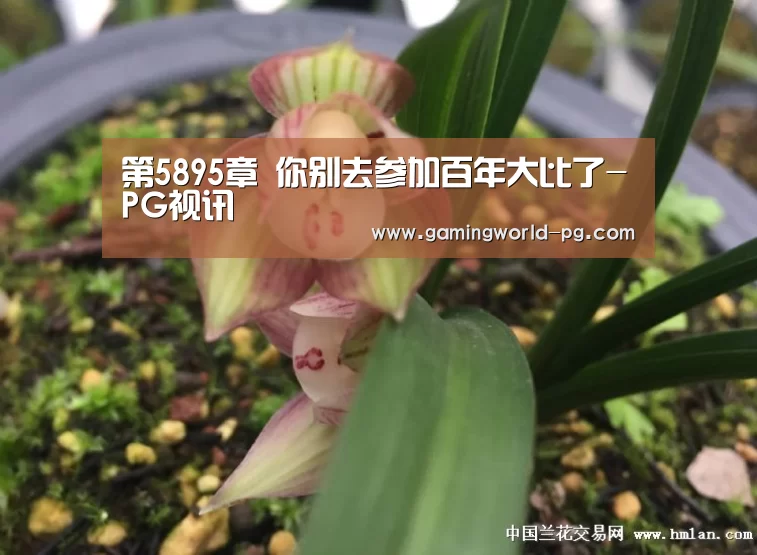 PG竞猜