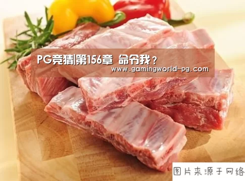 PG竞猜|第156章 命令我?(图1) PG竞猜