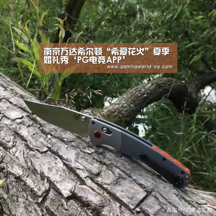 南京万达希尔顿“希爱花火”夏季婚礼秀‘PG电竞APP’(图1) PG棋牌