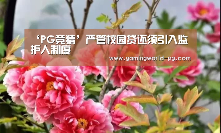‘PG竞猜’严管校园贷还须引入监护人制度(图1) PG棋牌