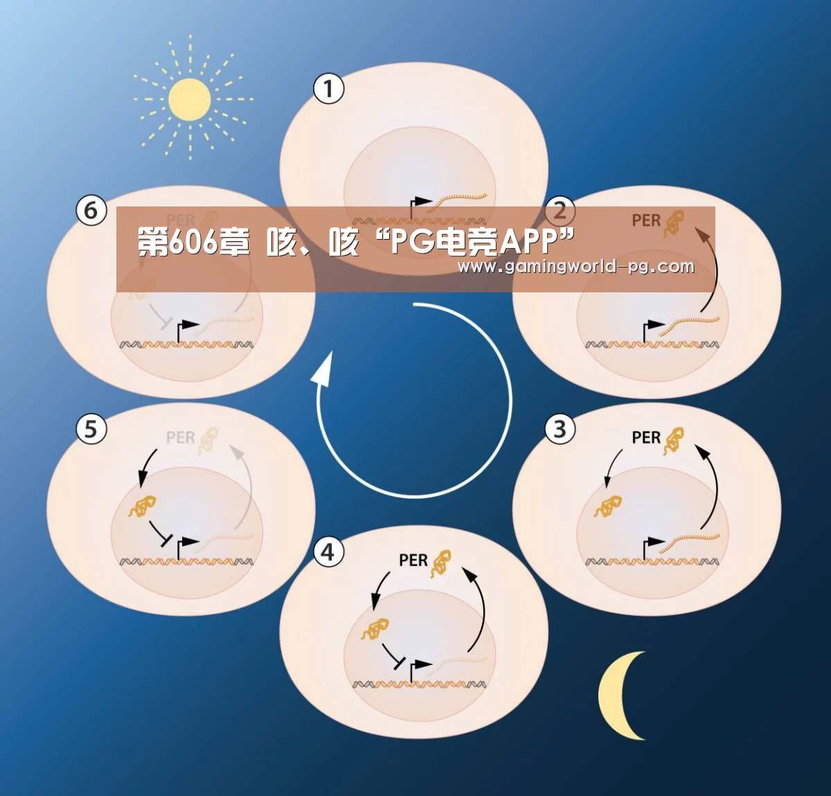 第606章 咳、咳“PG电竞APP”(图3) PG竞猜