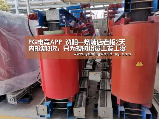PG电竞APP_沈阳一烧烤店老板2天内抢劫3次,只为按时给员工发工资……(图2) PG视讯