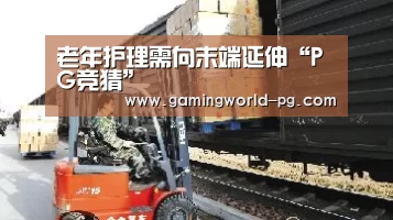 老年护理需向末端延伸“PG竞猜”(图1) PG竞猜