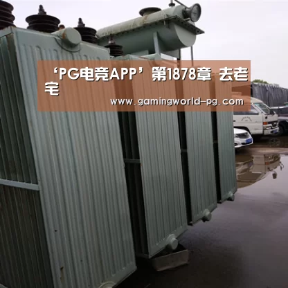 ‘PG电竞APP’第1878章 去老宅(图1) PG棋牌